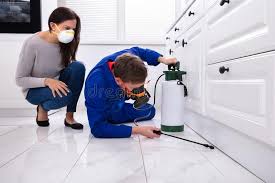 Best Residential Pest Control  in New Holland, PA